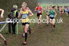 Senior womens Inter Counties Cross Country, Prestwold Hall, Loughborough. Photo: David T. Hewitson/Sports for All Pics
